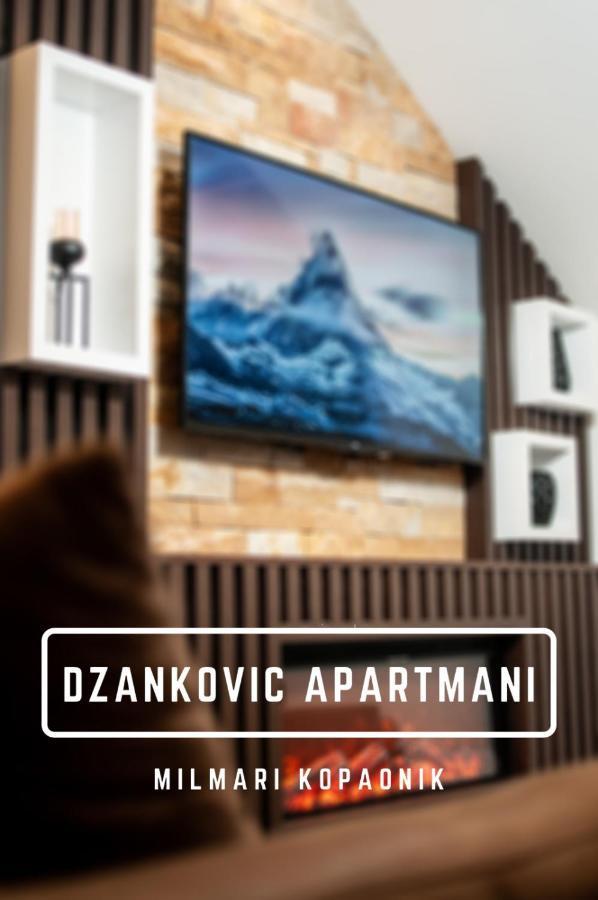 Apartmani Dzankovic 科帕奥尼克 外观 照片